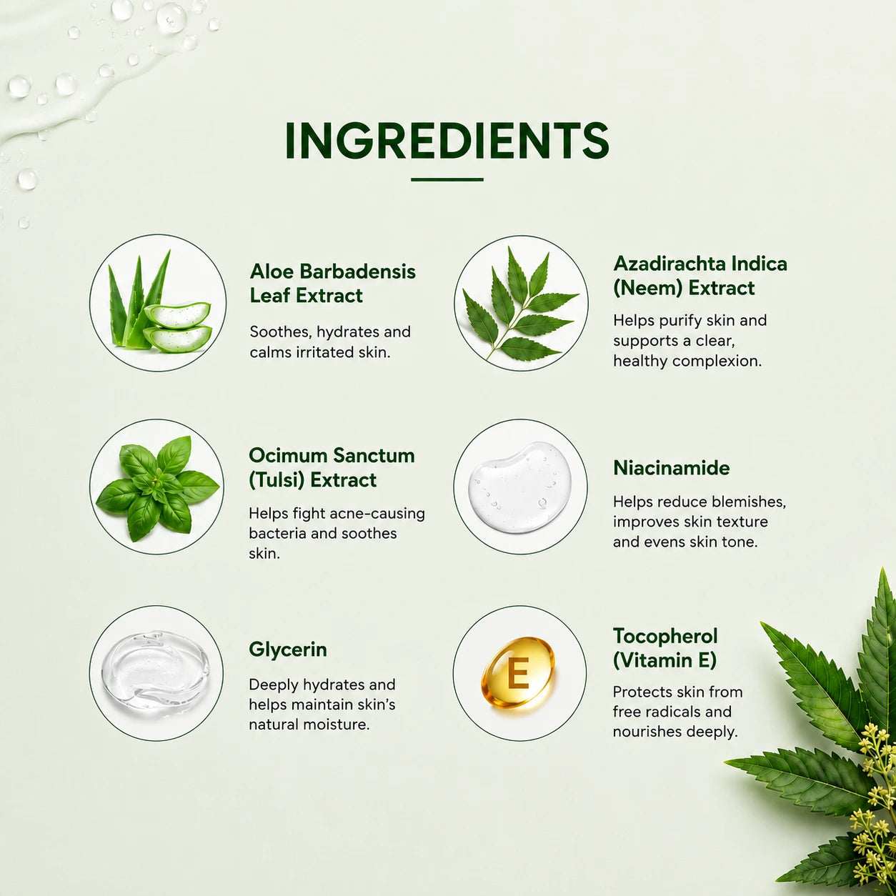 Purifying Aloe Gel