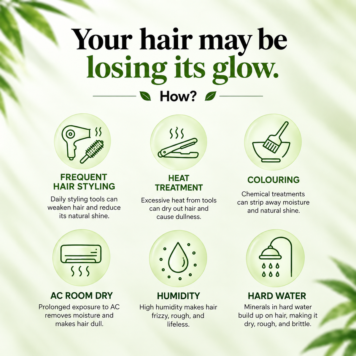 Hair Radiance Oil
